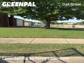 Lawn Cut nearby Burleson, TX, 