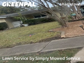 Yard Cutting in Houston, 77074, Lawn Mowing Service by Simply Mowed Service, work completed in  6 Dec, 2025 