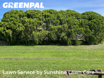 Lawn Care nearby Port St. Lucie, FL, 
