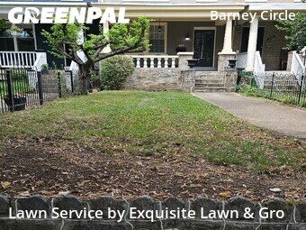 Lawn Cut nearby Washington, DC, 