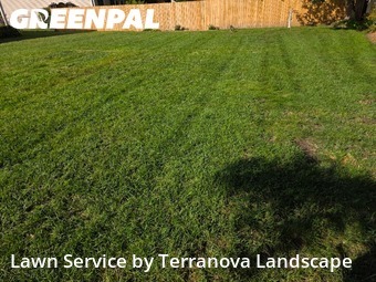 Lawn Cutin Elgin,60120,Lawn Mow by Terranova Landscape, work completed in Dec , 2025