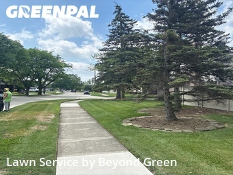 Yard Cutting nearby Dearborn Heights, MI, 