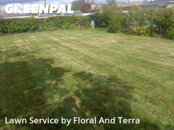 Lawn Care nearby Warren, MI, 