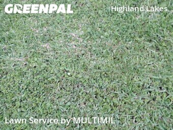 Yard Mowing nearby Clearwater, FL, 