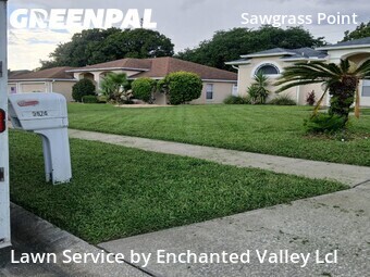 Lawn mowed in Port Orange, 32128