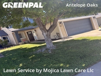 Lawn Maintenance nearby Antelope, CA, 