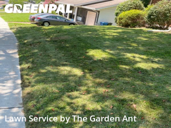 Lawn Cutting nearby Ballwin, MO, 