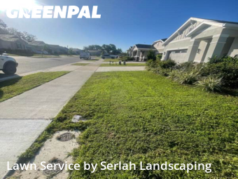 Grass Cut nearby Okahumpka, FL, 