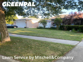 Lawn Cut nearby Troy, MI, 