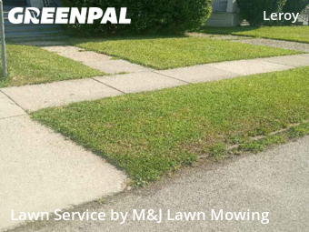 Grass Cutting nearby Buffalo, NY, 