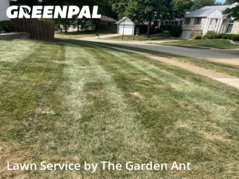 Lawn Servicein Ballwin,63021,Lawn Cutting by The Garden Ant , work completed in Dec , 2025