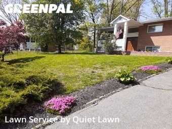 Yard Grooming in Annandale, 22003, Property Maintenance by Quickscape , work completed in Nov , 2025