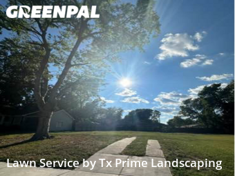 Lawn Mow nearby Dallas, TX, 