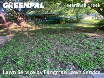 Lawn Care nearby Roanoke, TX, 