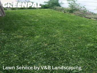 Lawn Cut nearby Oak Park, IL, 