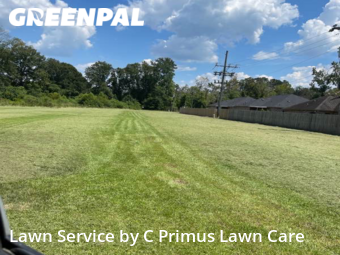 Lawn Service nearby Livingston, LA, 