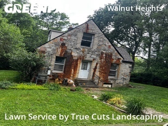 Lawn mowed in Columbus, 43207