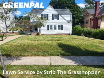 Lawn Upkeep in Shaker Heights, 44122, Yard Services by Strib The Grasshopper, work completed in Nov , 2025