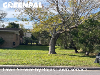 Yard Mowing nearby San Juan, TX, 