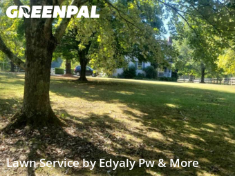 Yard Upkeep in Tullahoma, 37388, Lawn Upkeep by Edyaly Pw & More, work completed in Nov , 2025