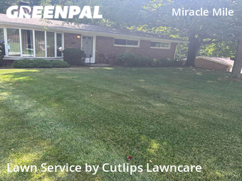 Lawn Service nearby Springfield, OH, 
