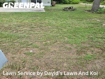 Lawn Mow nearby Ocala, FL, 