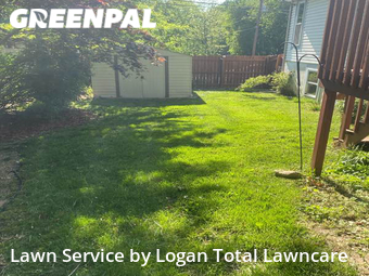 Grass Cutting nearby Olathe, KS, 