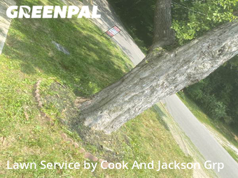 Lawn Cut nearby Corydon, KY, 