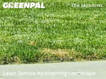 Yard Grooming in Castle Rock, 80104, Weed Trimming by Inspiring Landscape, work completed in Oct , 2025