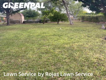 Yard Cutting nearby San Juan, TX, 