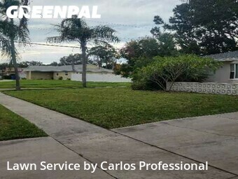 Lawn Care Service nearby St. Petersburg, FL, 
