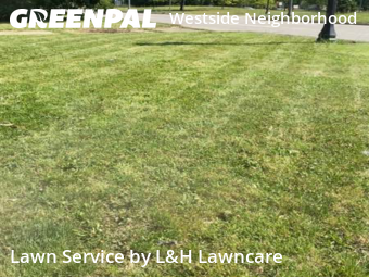 Lawn Care nearby Lansing, MI, 