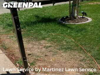 Lawn Service nearby Sacramento, CA, 