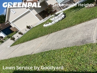 Grass Cut nearby Jacksonville, FL, 