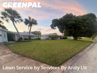 Grass Cut nearby Largo, FL, 