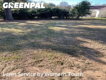 Yard Maintenance in Tuscaloosa, 35401, Mowing Services by Womens Touch, work completed in Dec , 2025