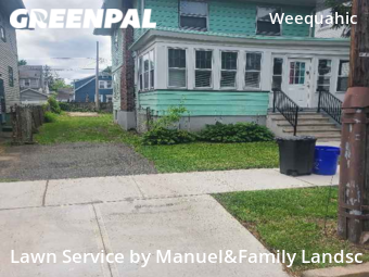 Grass Cut nearby Newark, NJ, 