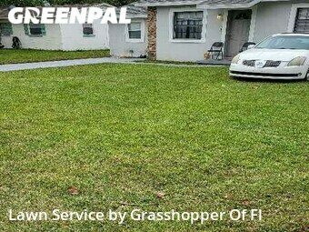 Lawn Mowing nearby Lakeland, FL, 