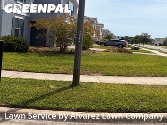 Lawn Mowingin Apopka,32712,Yard Cutting by Alvarez Lawn Company, work completed in Jun , 2026
