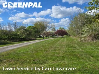 Lawn Cutting nearby Palmyra, NY, 
