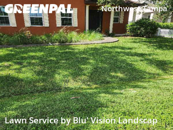 Lawn Care Service nearby Tampa, FL, 