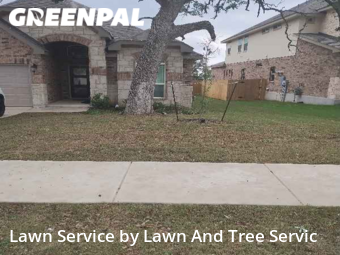 Lawn Mowing Service nearby Bulverde, TX, 