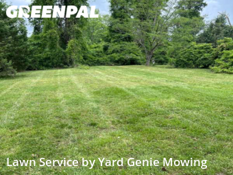Lawn Mow nearby Rock Hill, NC, 