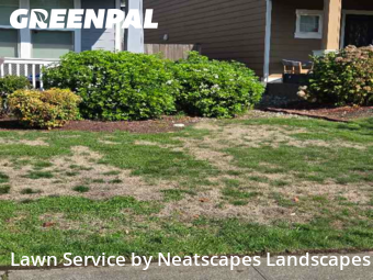 Grass Cut nearby Puyallup, WA, 