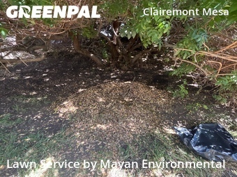 Work completed by local-lawn-care-services-in in San Diego, CA