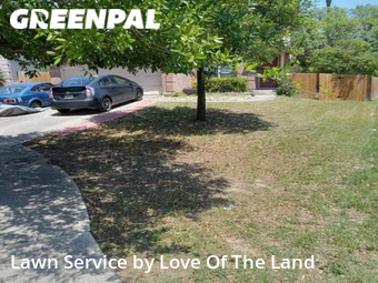 Grass Cutting nearby San Antonio, TX, 