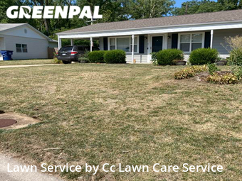 Yard Cutting nearby St. Peters, MO, 