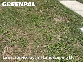 Grass Cut nearby Orlando, FL, 