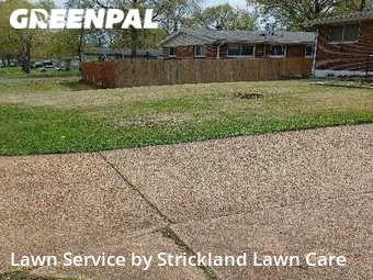 Grass Cutting nearby St. Louis, MO, 
