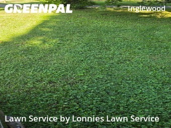 Lawn Care Servicein Nashville,37216,Lawn Care Service by Lonnies Lawn Service, work completed in Jun , 2026